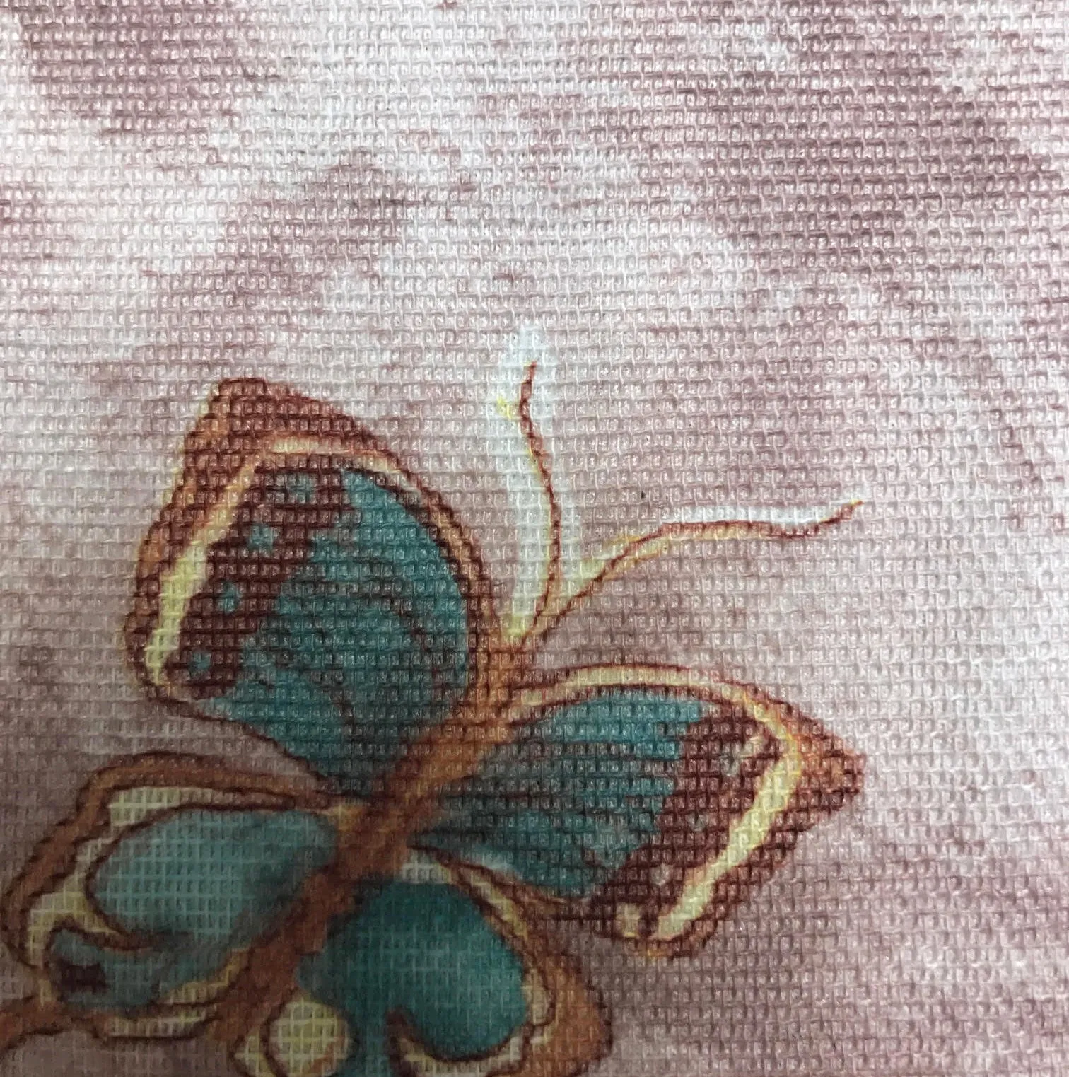 BOY SHORTS BUNNY/BUTTERFLIES