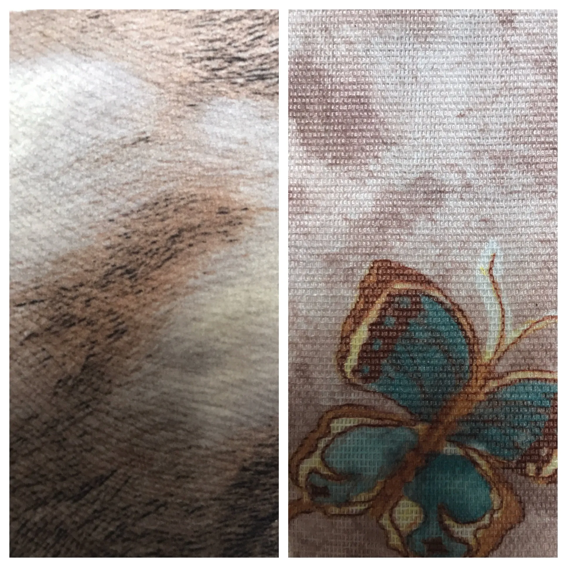 BOY SHORTS BUNNY/BUTTERFLIES