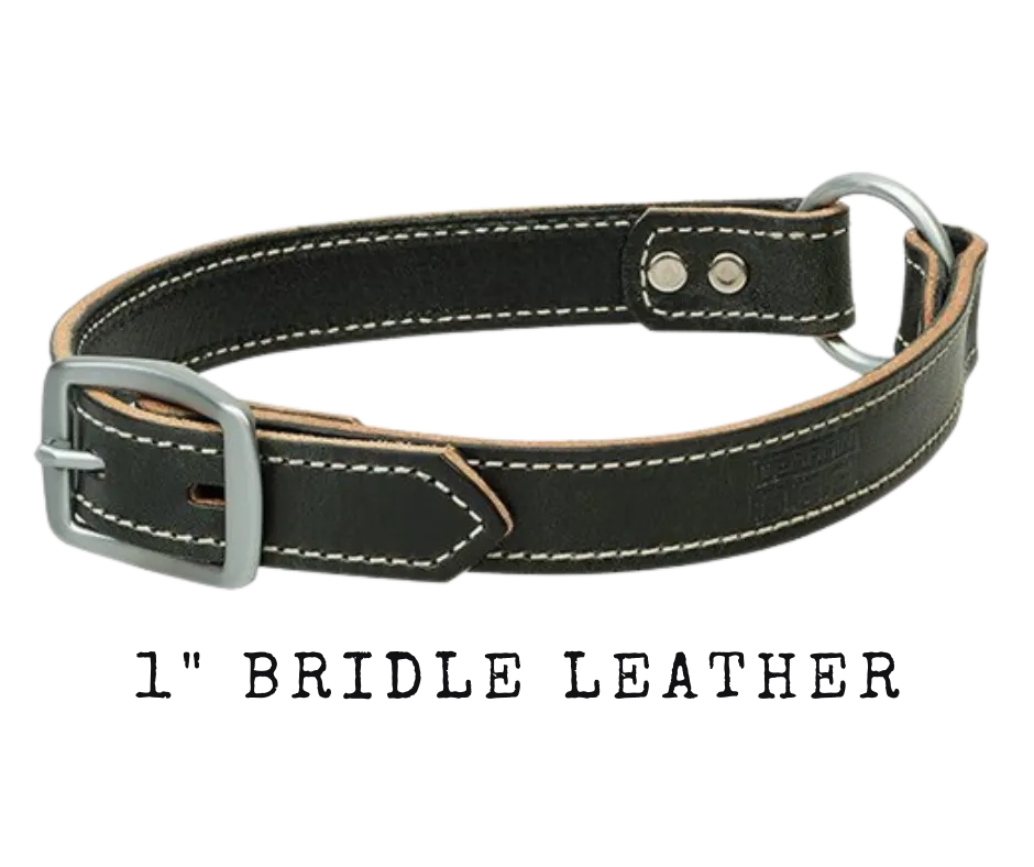 Bridle Leather Ring-In-Center Dog Collar