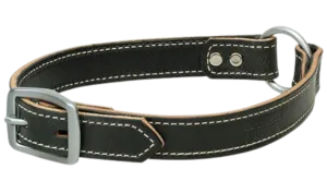 Bridle Leather Ring-In-Center Dog Collar