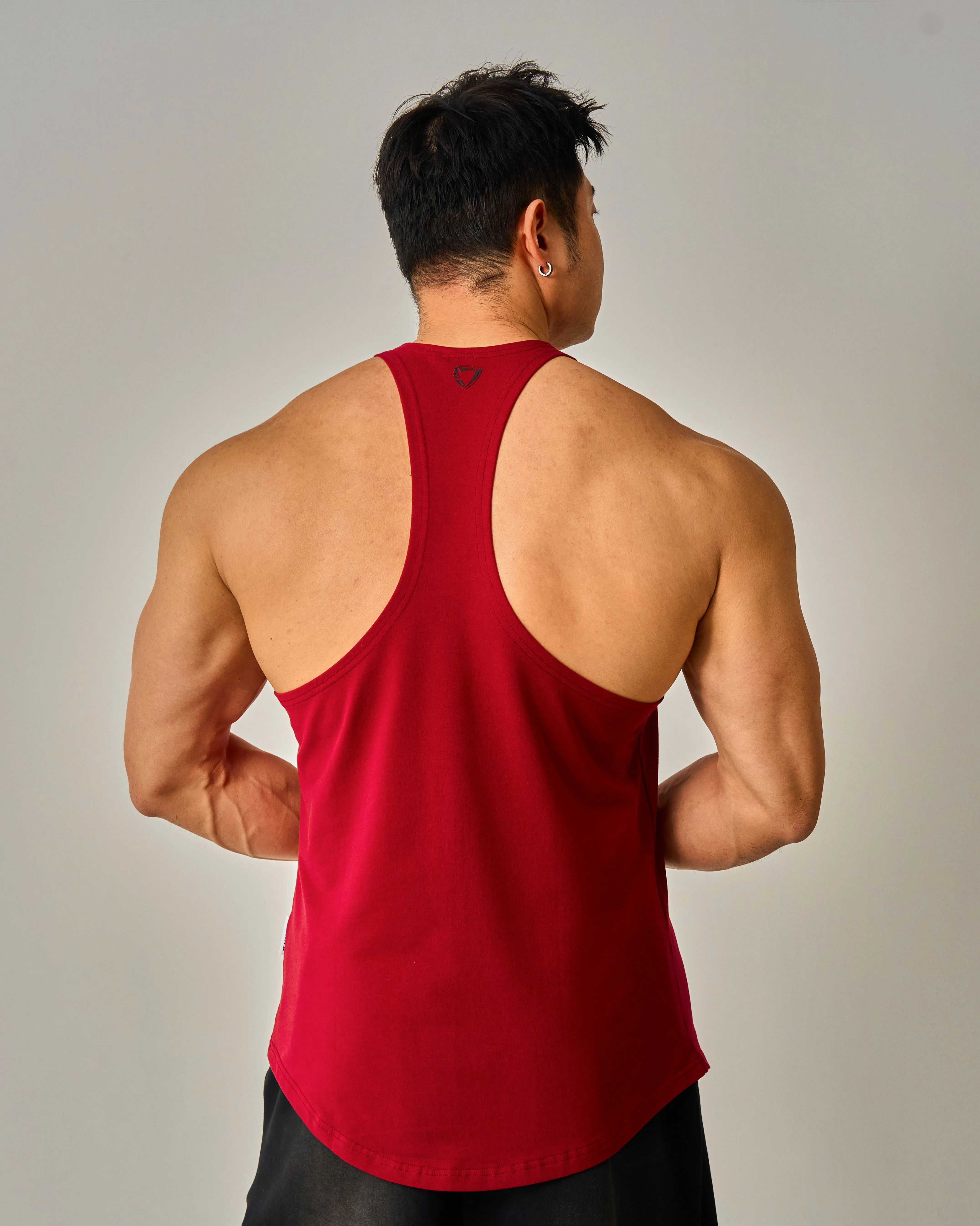 CNY Snake Sword Shield Stringers