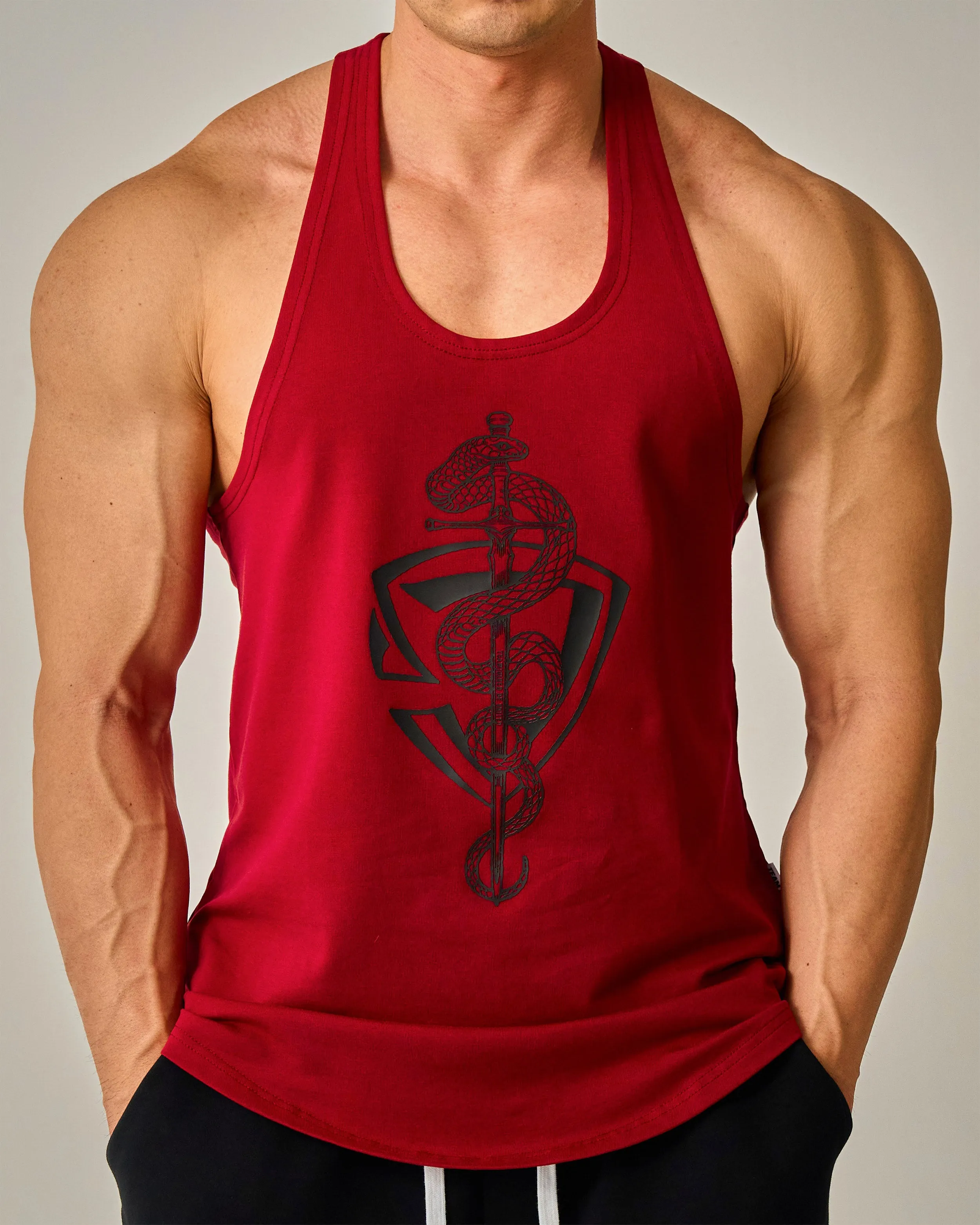 CNY Snake Sword Shield Stringers