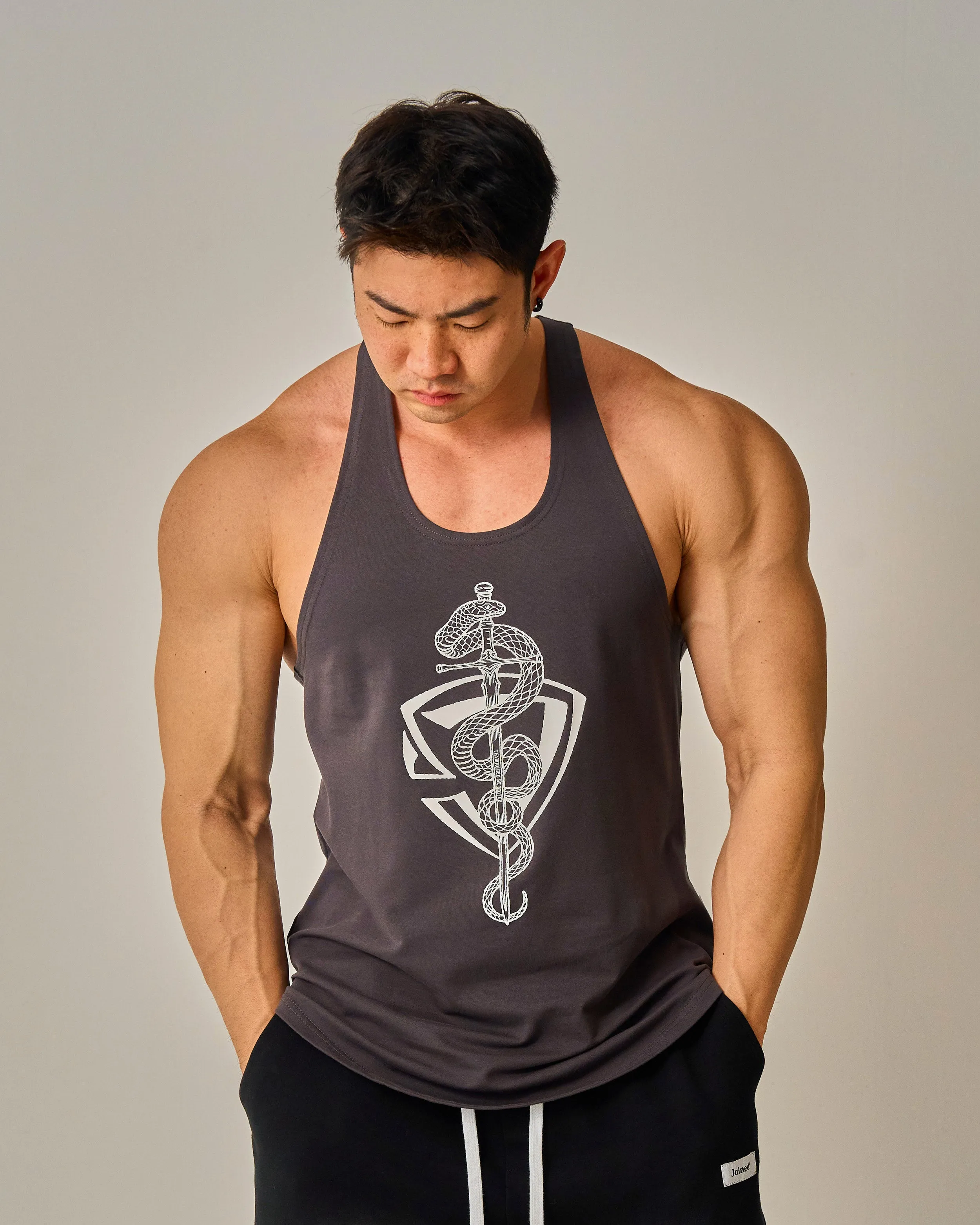CNY Snake Sword Shield Stringers
