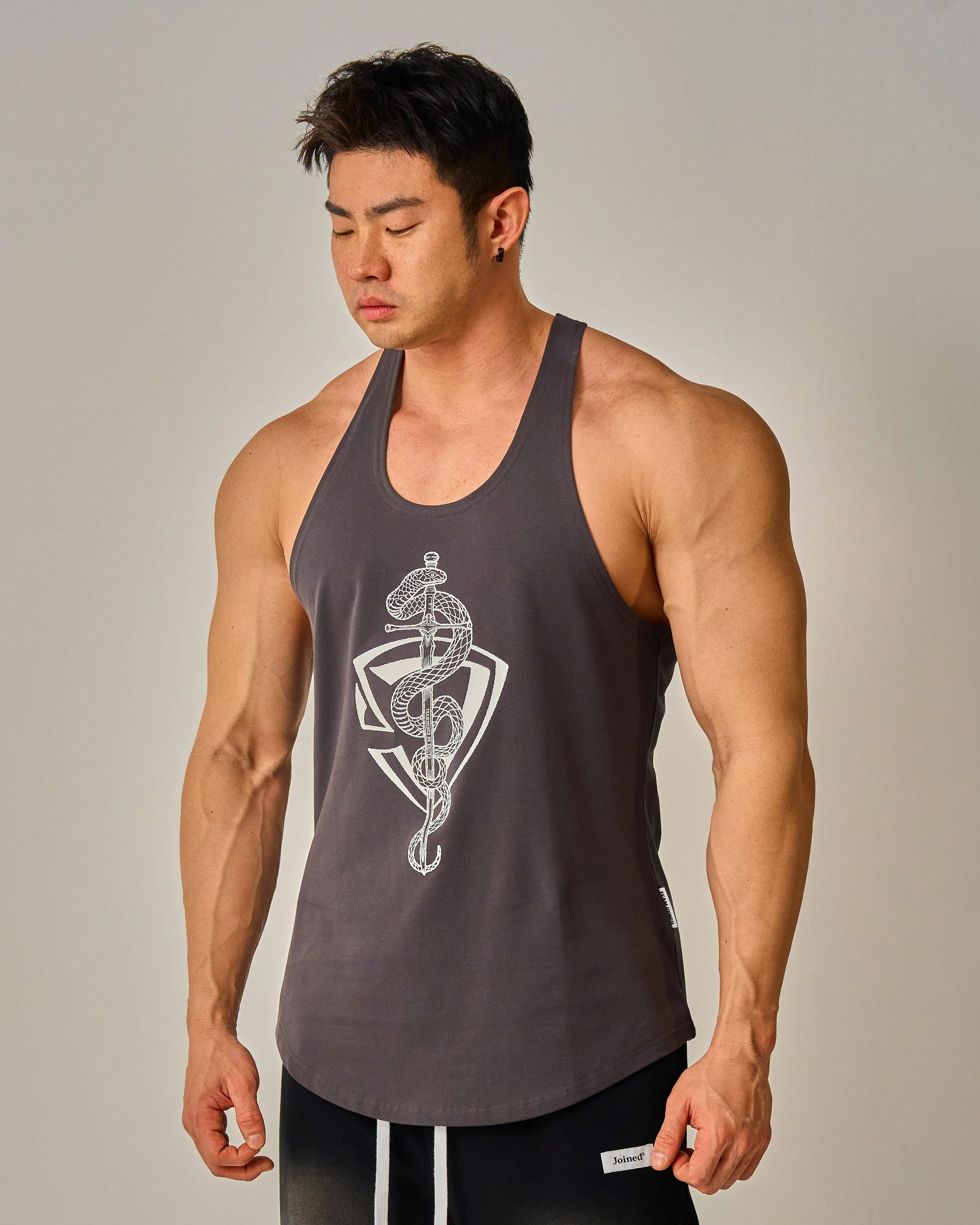 CNY Snake Sword Shield Stringers
