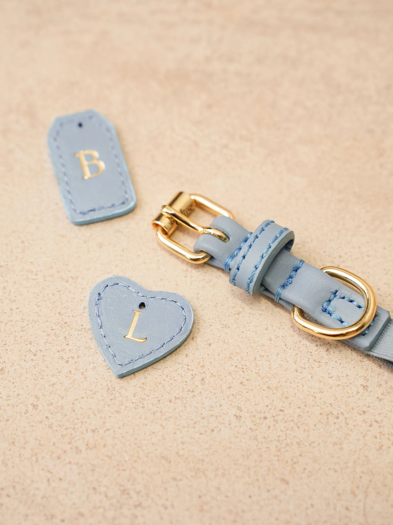 Dog Collar Leather Blue