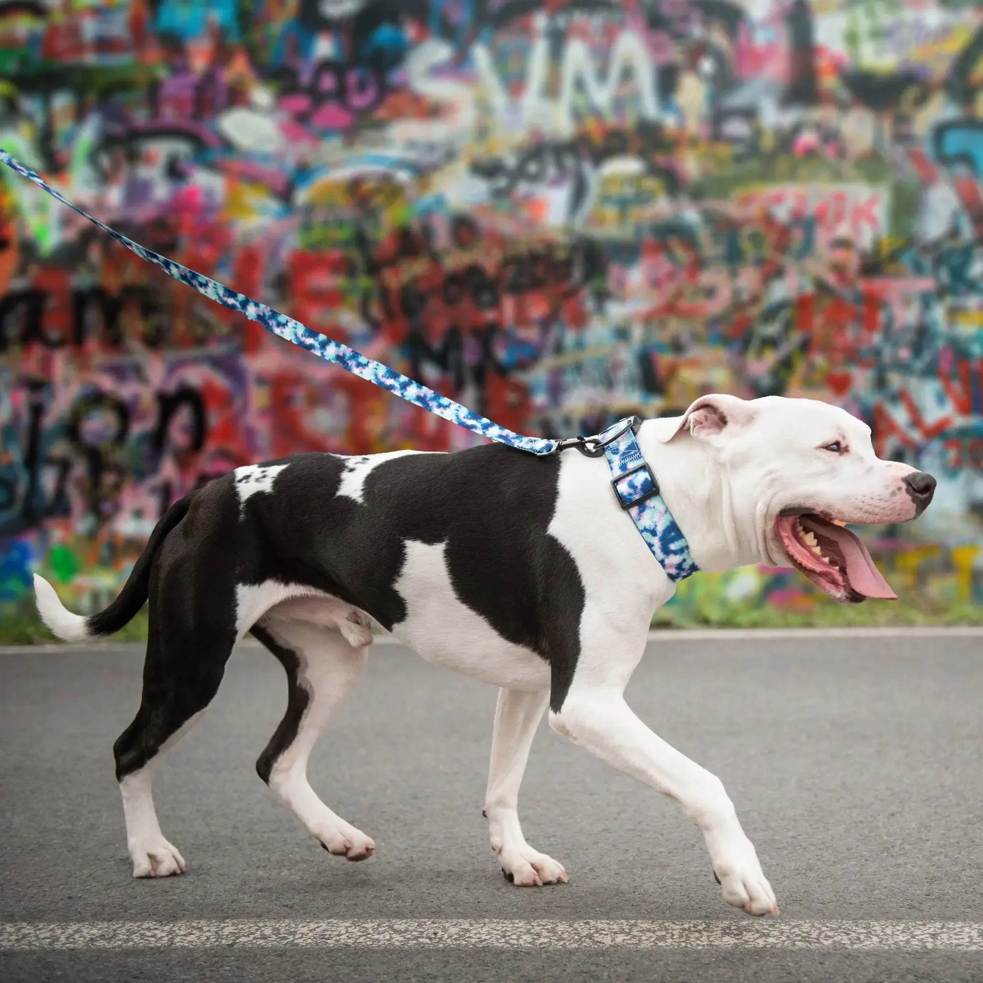 Dog Leash | Tie-Dye