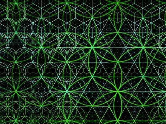 Garden of Life - Sacred Geometry Flower of Life
