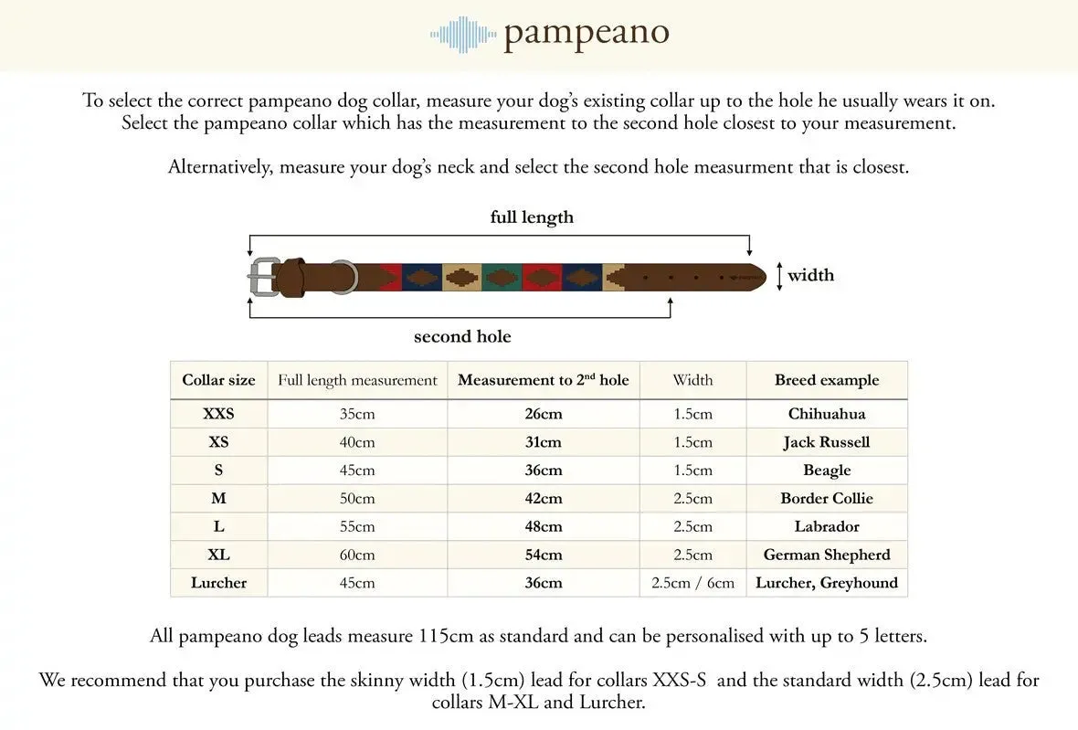 PAMPEANO Dog Collar - Hermoso