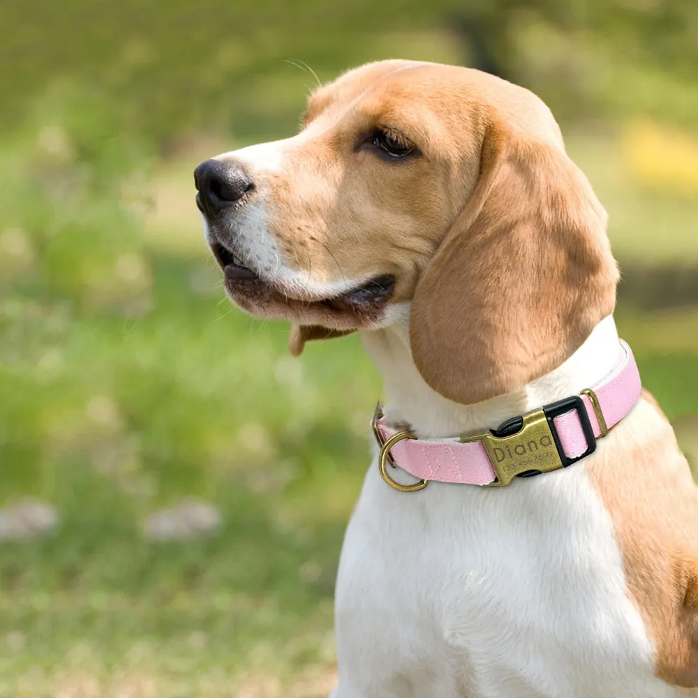 Personalised Nylon Dog Collar Adjustable