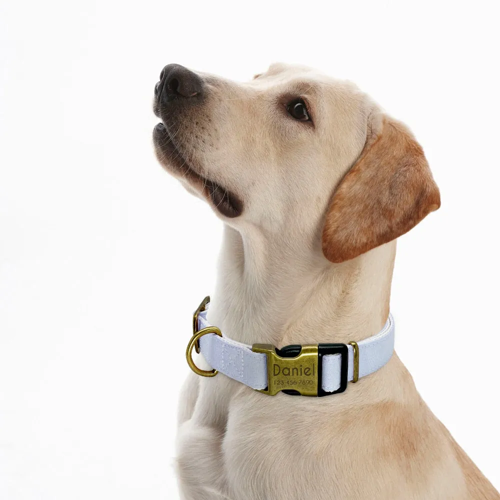 Personalised Nylon Dog Collar Adjustable