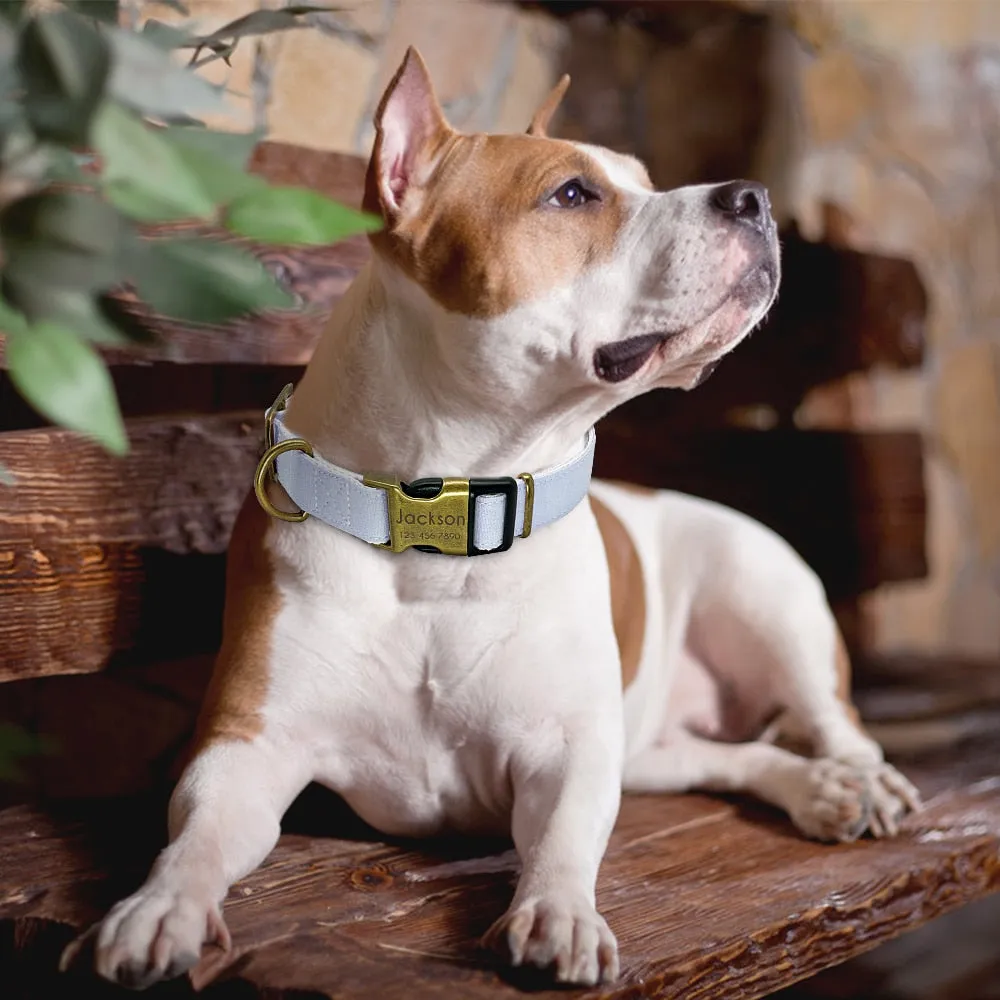 Personalised Nylon Dog Collar Adjustable