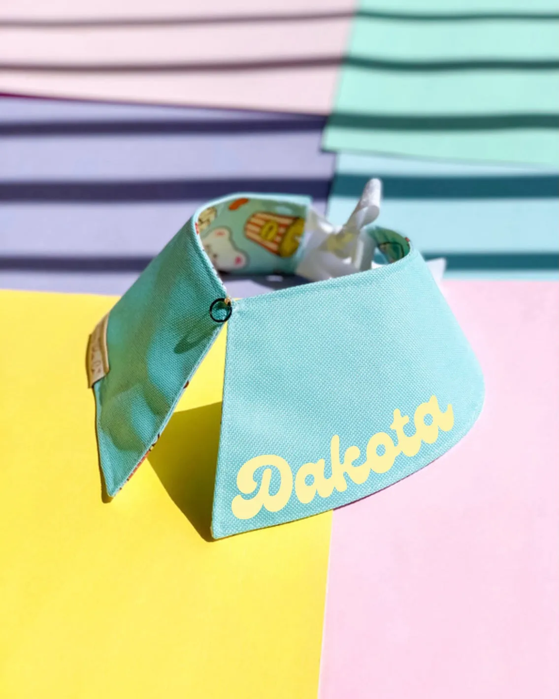 Petflicks Pack Signature Collar
