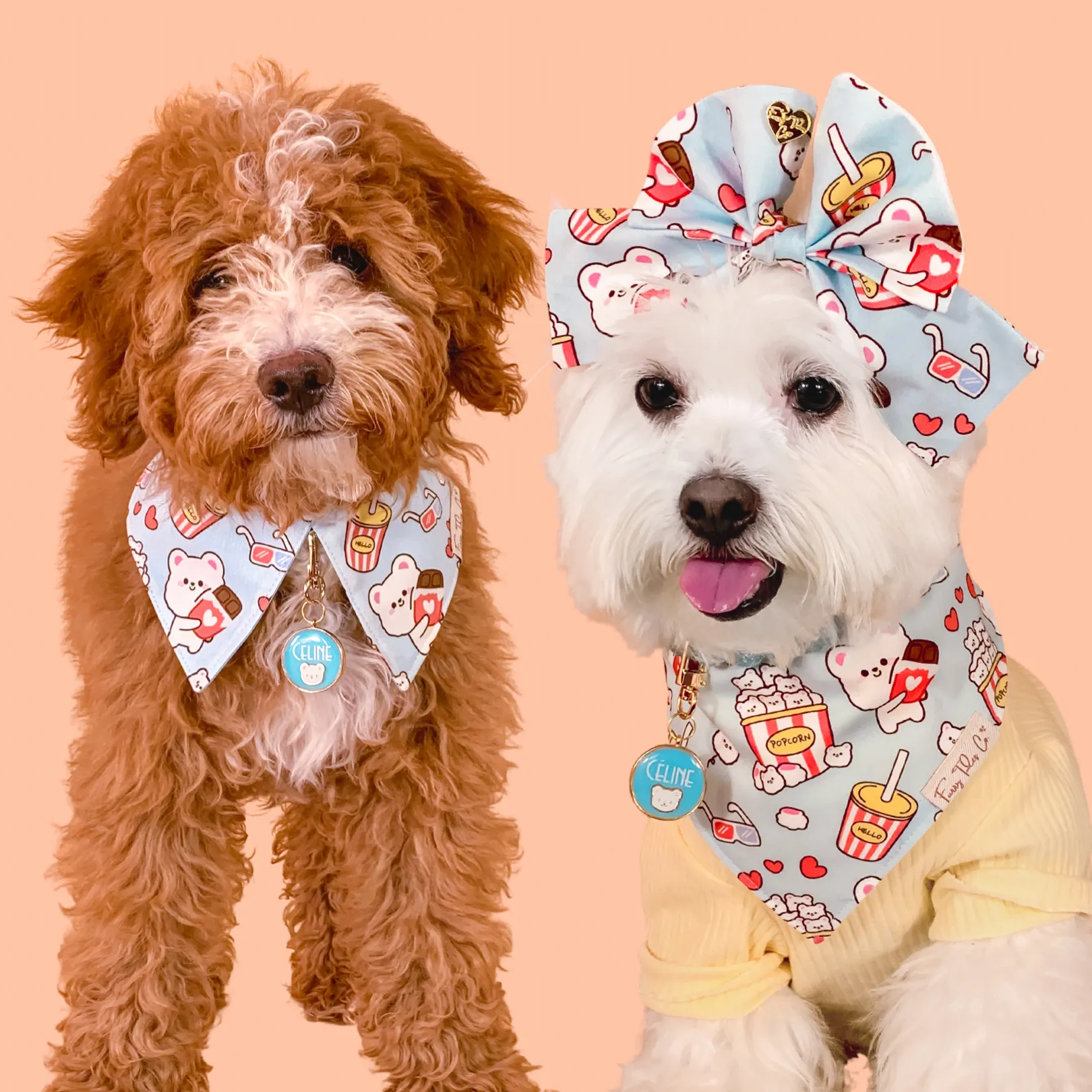 Petflicks Pack Signature Collar