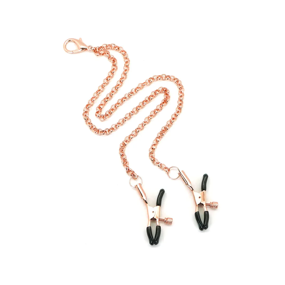 Rose Gold Memory Collar with Nipple Clamps