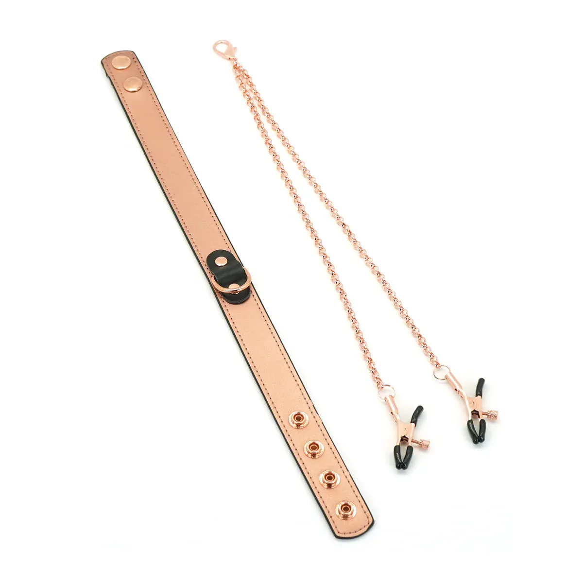 Rose Gold Memory Collar with Nipple Clamps