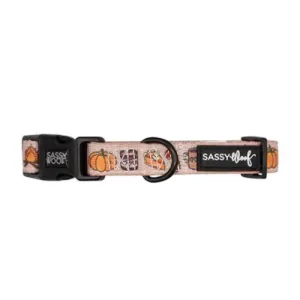 Sassy Woof Country Pupkin Dog Collar