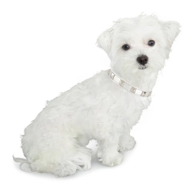 Stud Dog Collar