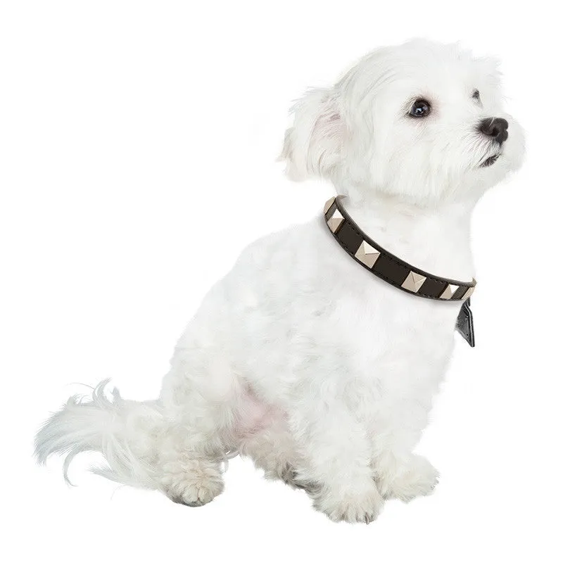 Stud Dog Collar