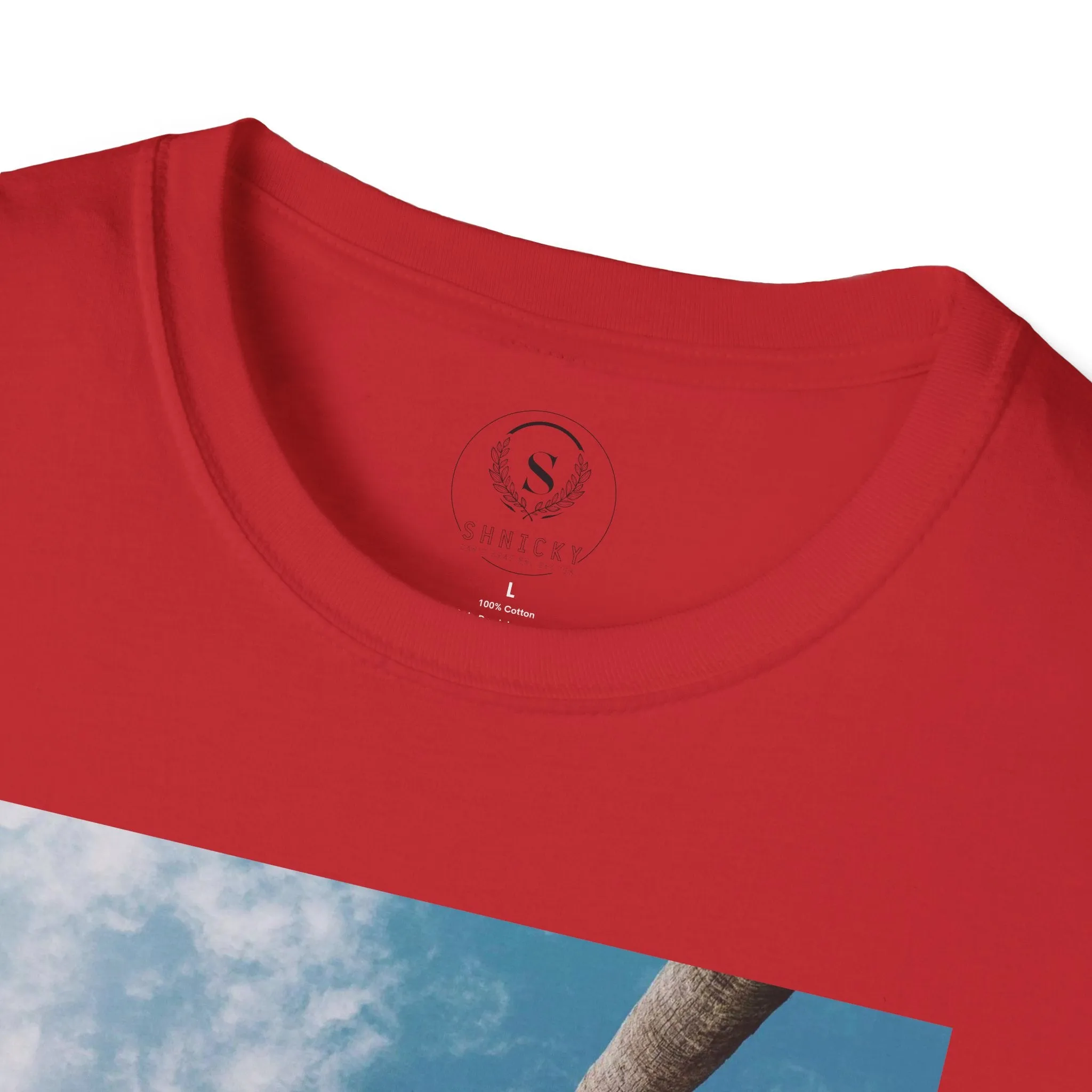 Unisex Softstyle Tee